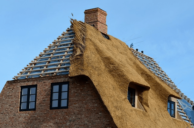 House with a thatch roof.